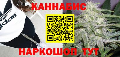 ГАЛЛЮЦИНОГЕННЫЕ ГРИБЫ Беслан