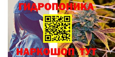 эйфоретик Берёзовский