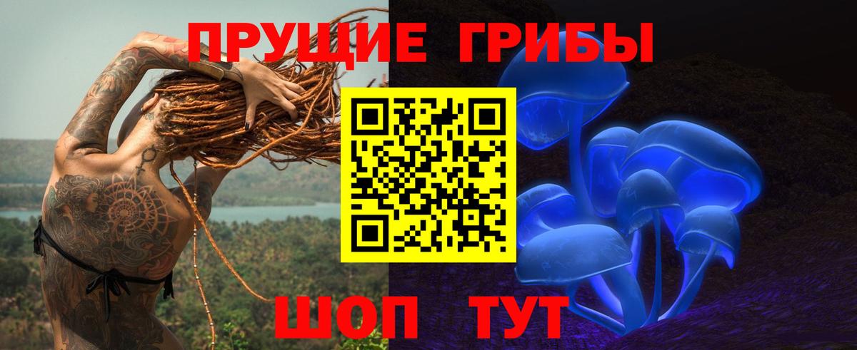 где можно купить наркотик  Вход с VPN  Коломна  Псилоцибиновые грибы мицелий 