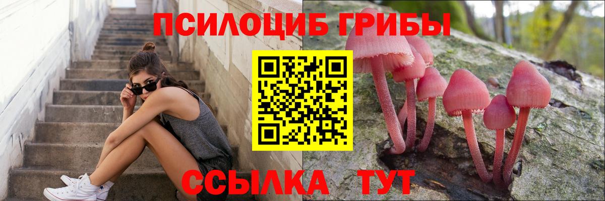 Псилоцибиновые грибы GOLDEN TEACHER Коломна